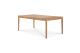ETHNICRAFT TEAK BOK OUTDOOR DINING TABLE 200x100