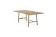 ETHNICRAFT OAK PROFILE DINING TABLE 180x100x76