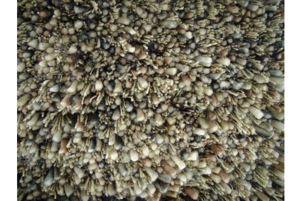 SPICKLE VLOERKLEED KLEUR GRIT