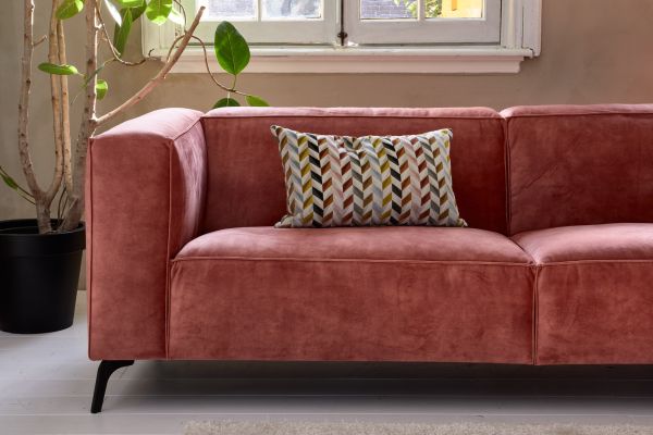 VINO PIEMONTE | BANKSTEL | STRETCH